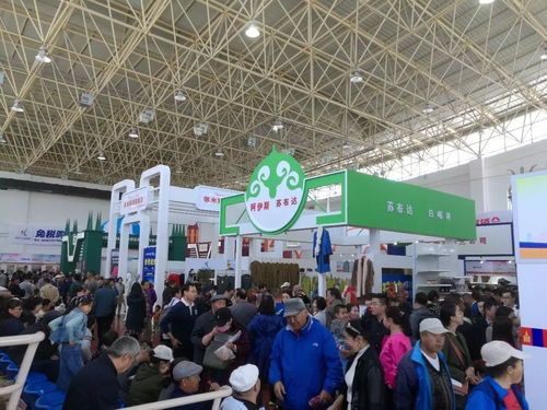 第十三屆中俄蒙經貿洽談暨商品展銷會圓滿落幕，俄蒙展廳現場火爆彰顯區域合作新活力