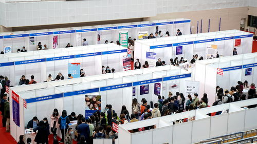 搭建橋梁，助力夢想 上外國際金融貿(mào)易學(xué)院2021年就業(yè)實(shí)習(xí)專場雙選會成功舉辦