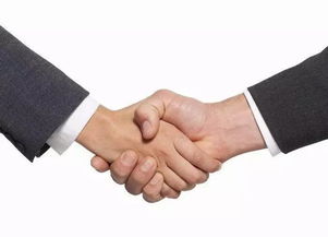 會展 繁榮的見證，經濟貿易咨詢的璀璨舞臺