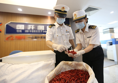 中非經貿博覽會 合作成果豐碩，攜手共譜發展新篇